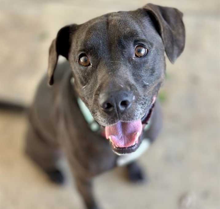 Photo of BASH