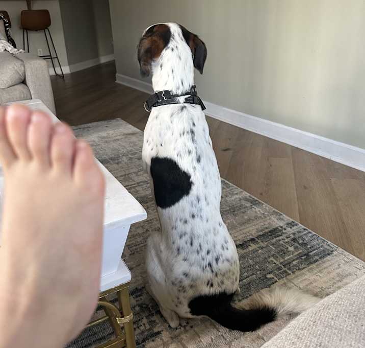 Photo of Odin