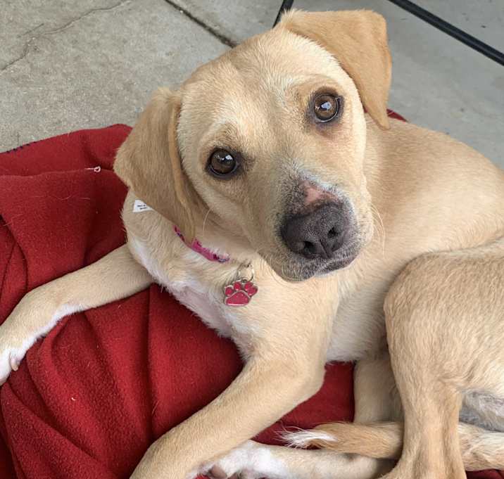 Photo of Harper