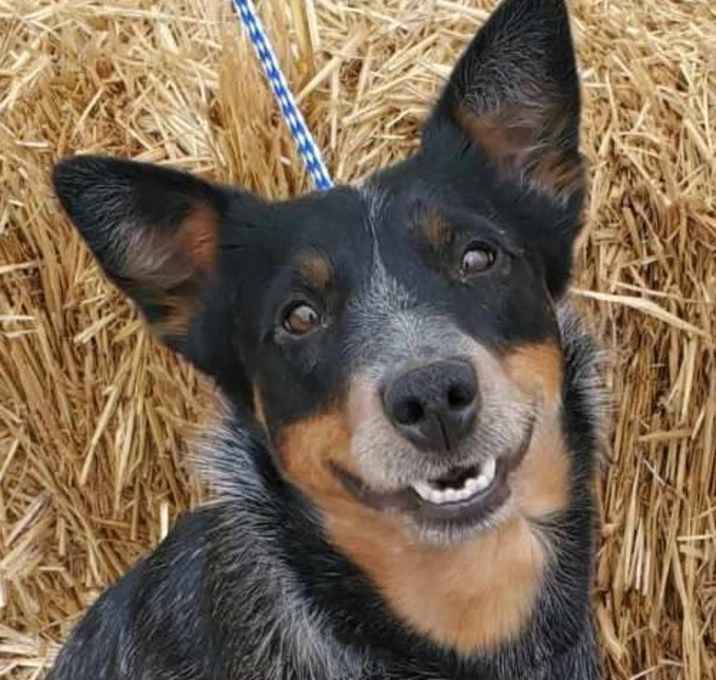 Photo of Murphy