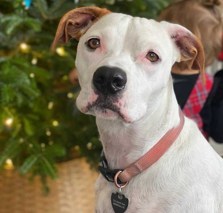 Photo of Betty