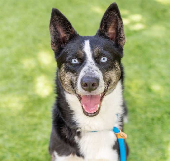 Photo of BUBBLES