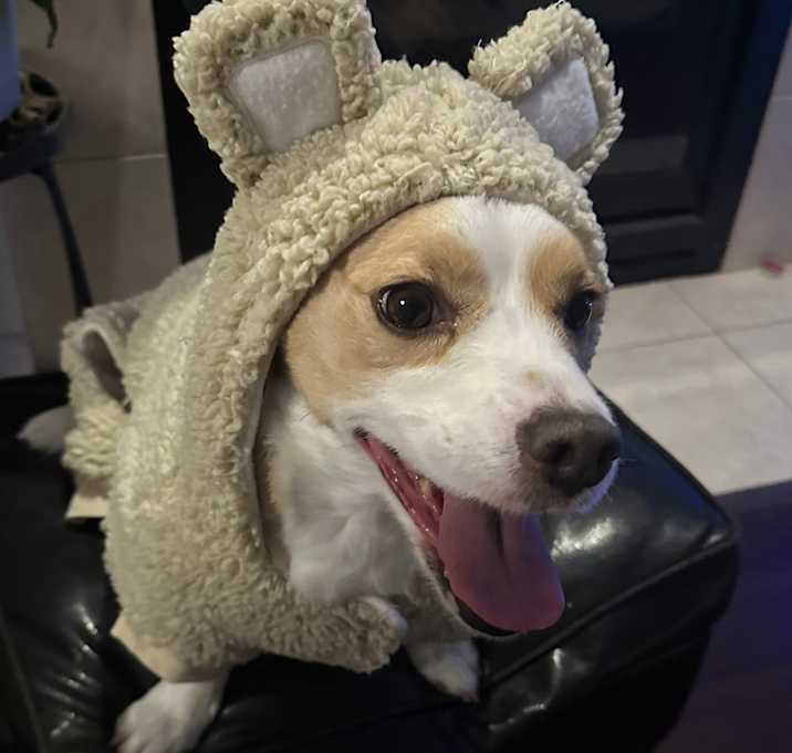 Photo of Oliver