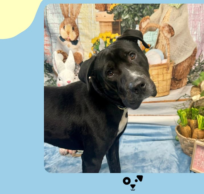 Photo of Max