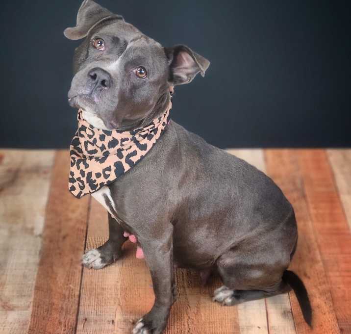 Photo of Ainsley