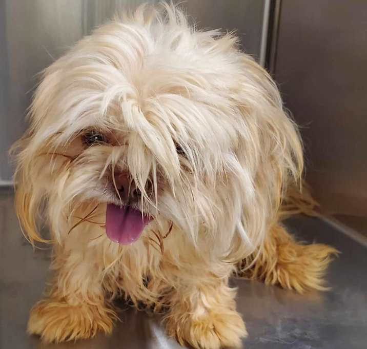 Photo of Barney 8/9/23