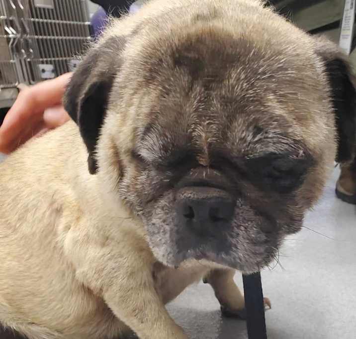 Photo of Cash 11/8/23