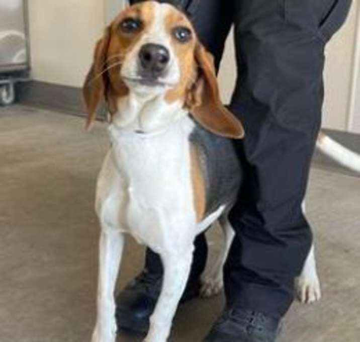 Photo of Charlie 1/30/24