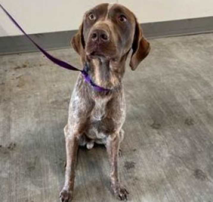 Photo of Spotty