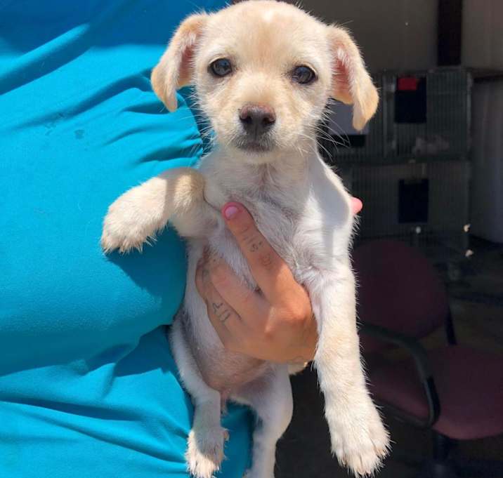 Photo of Kiki