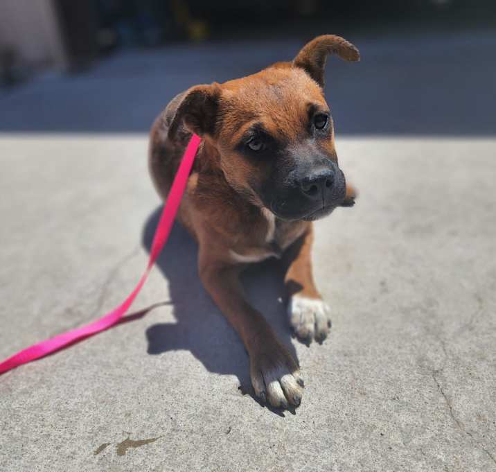 Photo of Millie