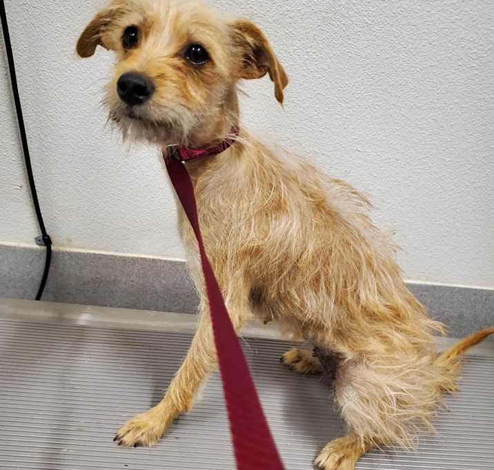Photo of Penny 5/16/23