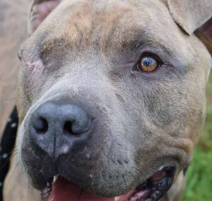 Photo of Willy