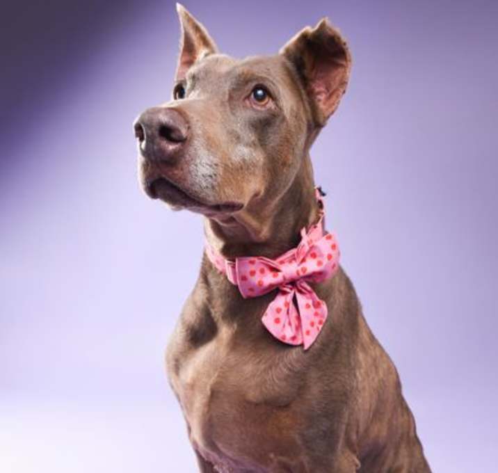 Photo of Rosy