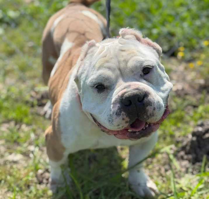 Photo of Isla