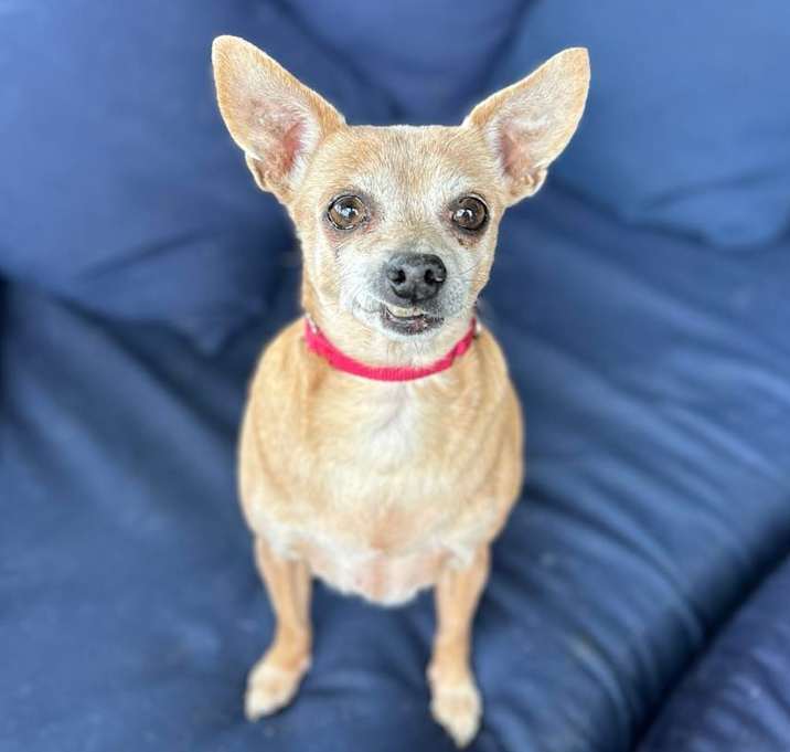 Photo of Jackie