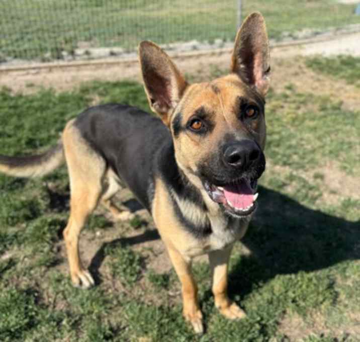 Photo of Captain