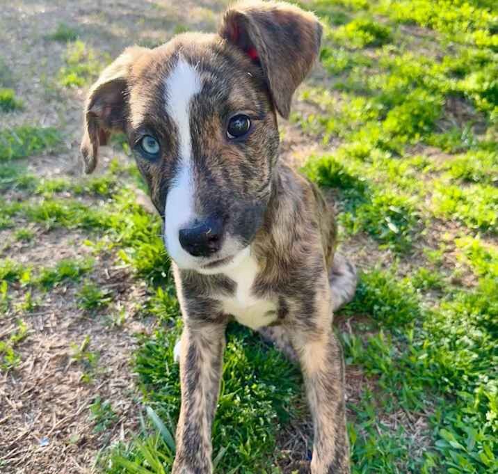 Photo of Dora