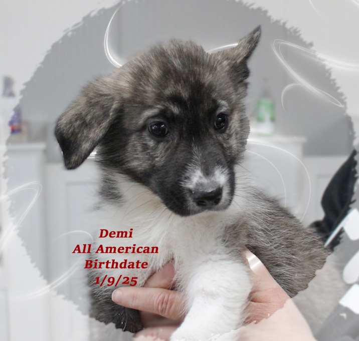 Photo of Demi