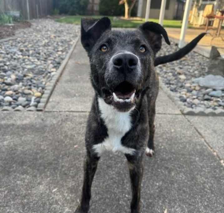 Photo of Ranger