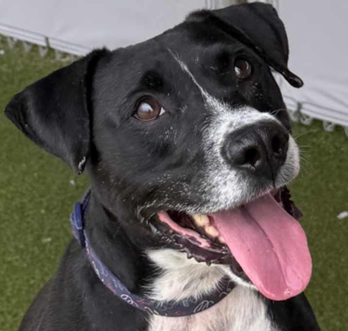 Photo of Cash