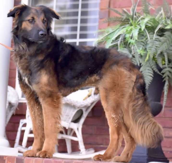 Photo of COOPER
