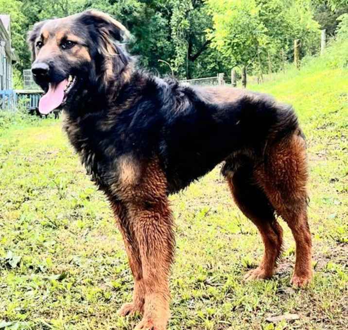 Photo of COOPER