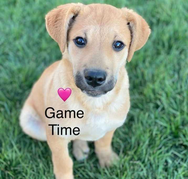 Photo of Game Time