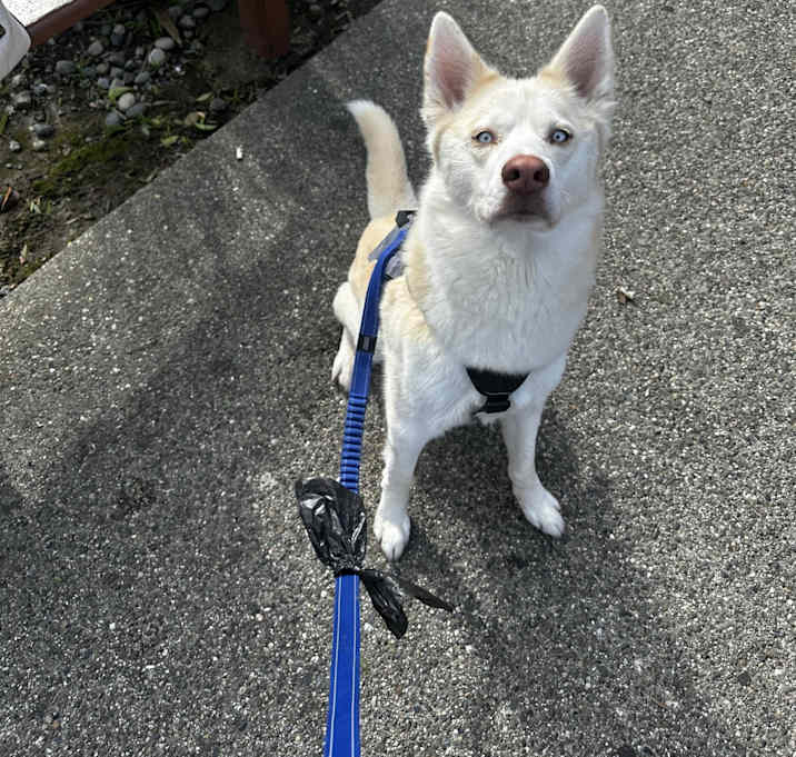 Photo of Lola