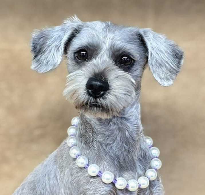 Photo of Marcy