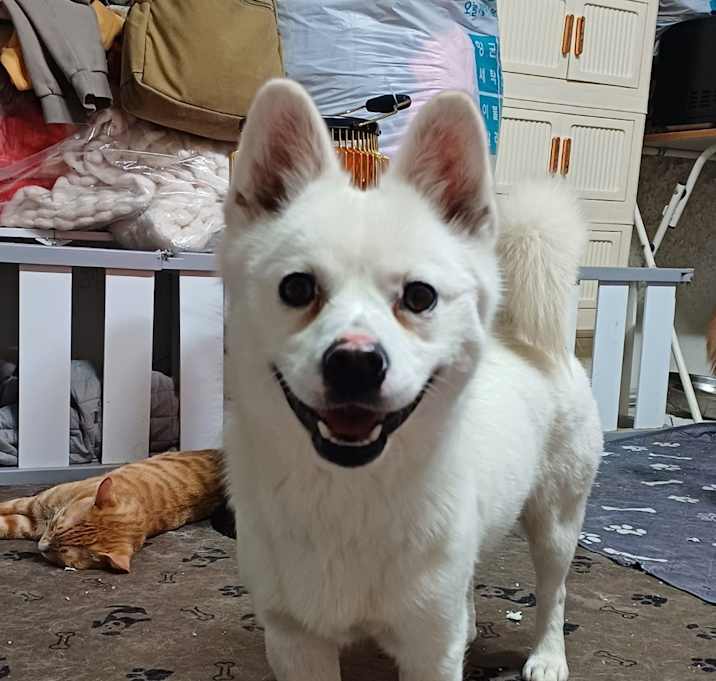 Photo of Louie