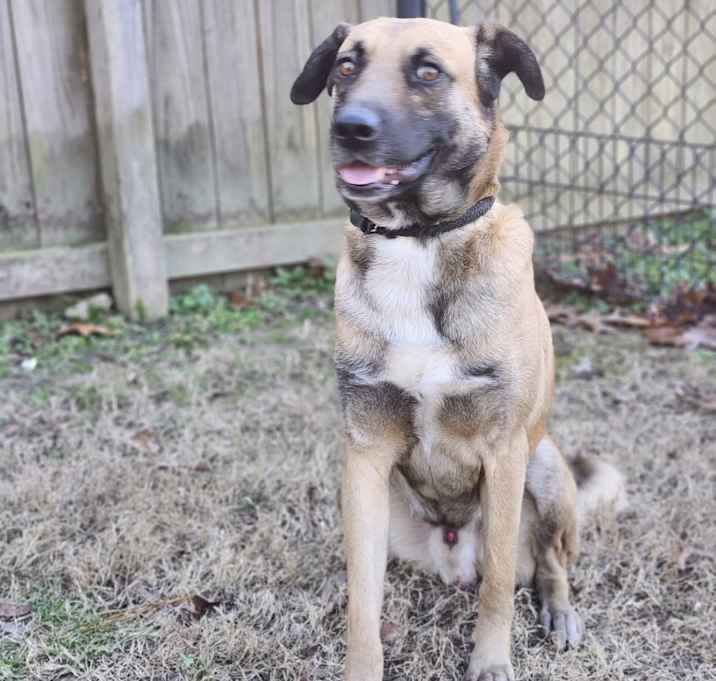 Photo of Ranger