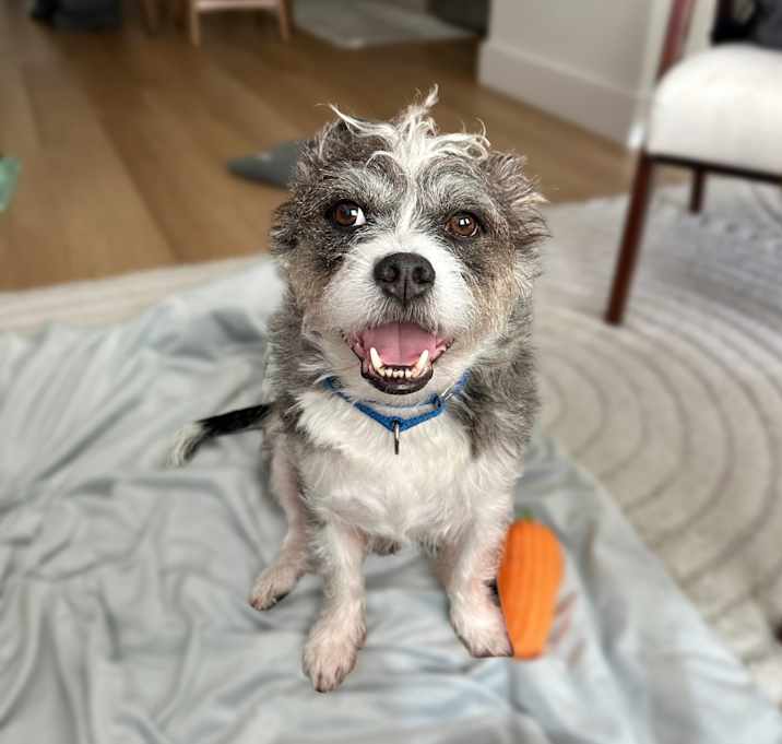 Photo of Fred