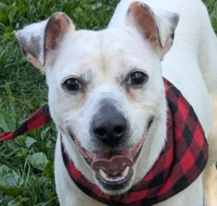 Photo of Casper
