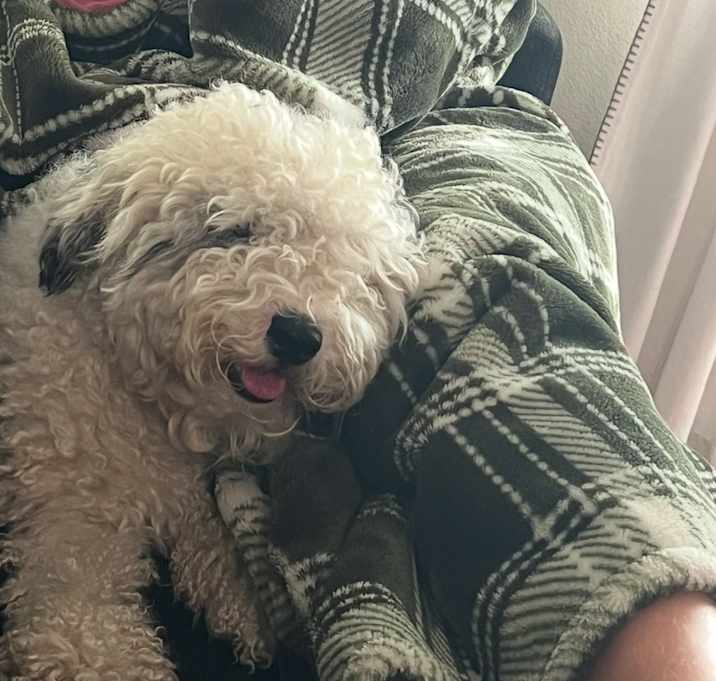 Photo of Einstein
