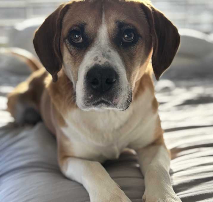 Photo of Prodigy