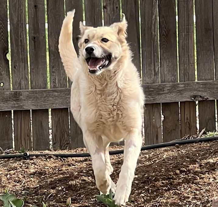 Photo of Bagel