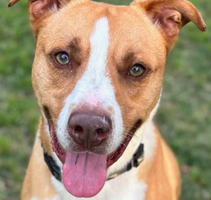 Photo of BRUCE