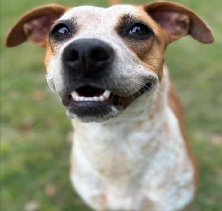 Photo of SAGE