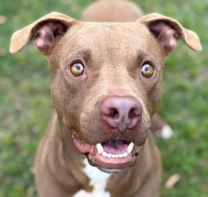 Photo of SPARKY