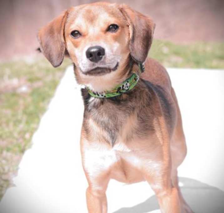 Photo of Flynn