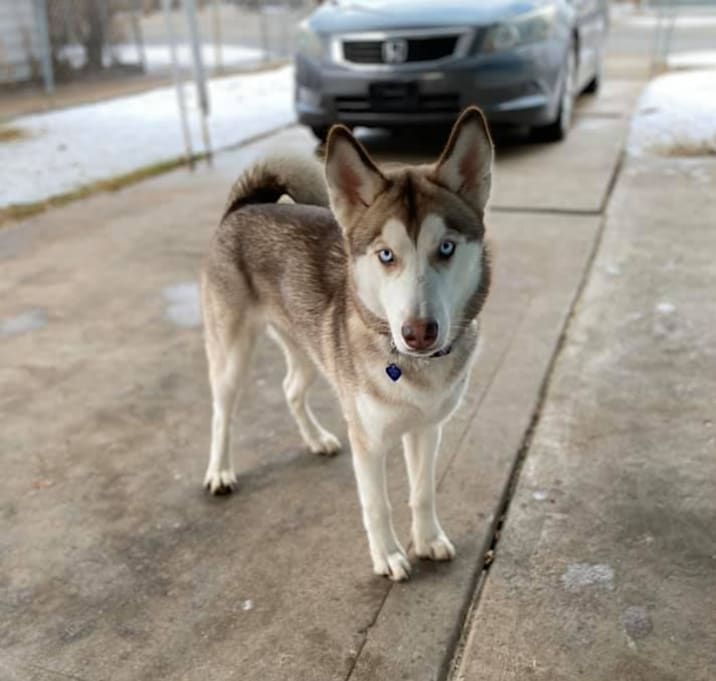 Photo of Mara