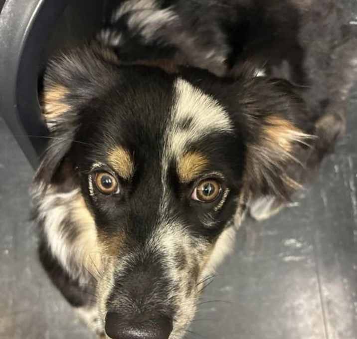 Photo of Lucy