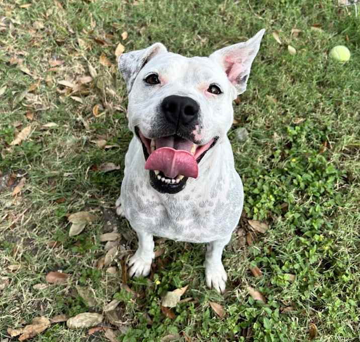 Photo of Mrs. Spots