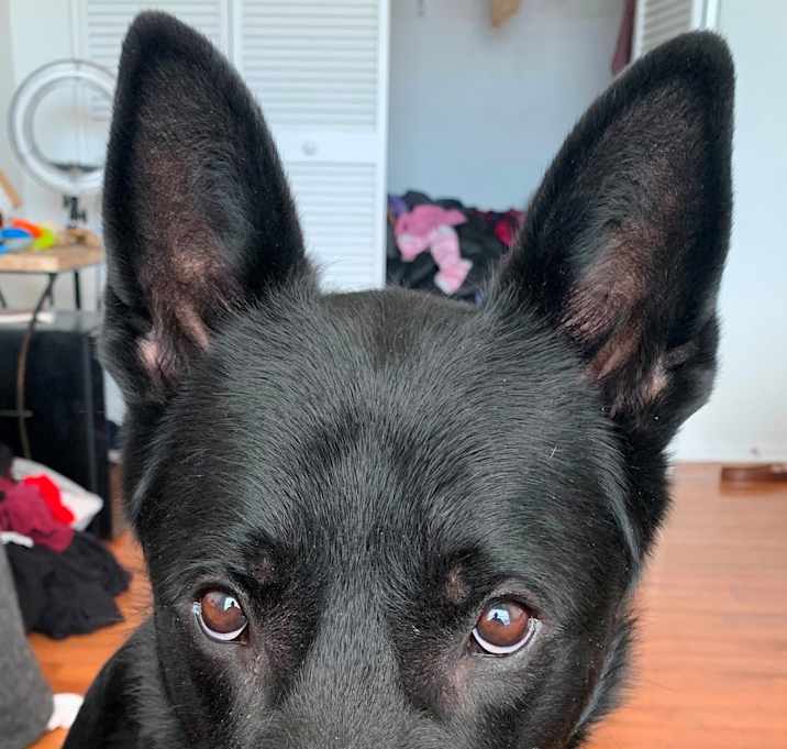 Photo of Smoke