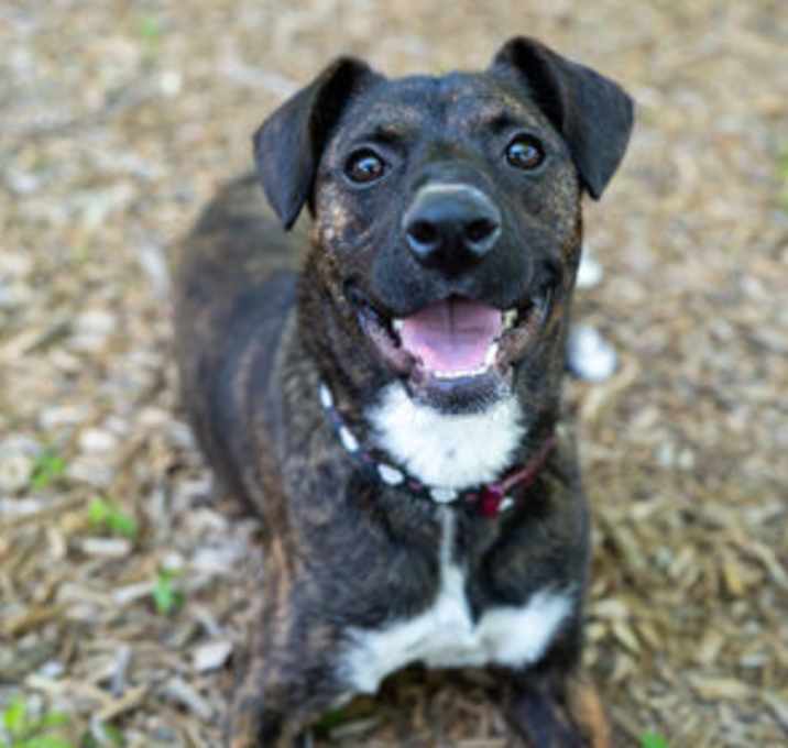 Photo of Nova-Leigh