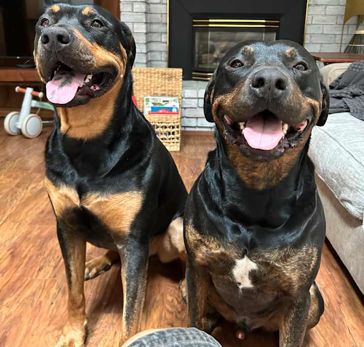 Photo of Donavan and Maverick