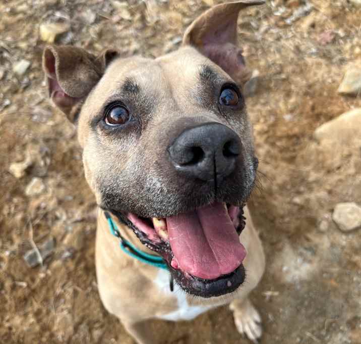 Photo of Thor