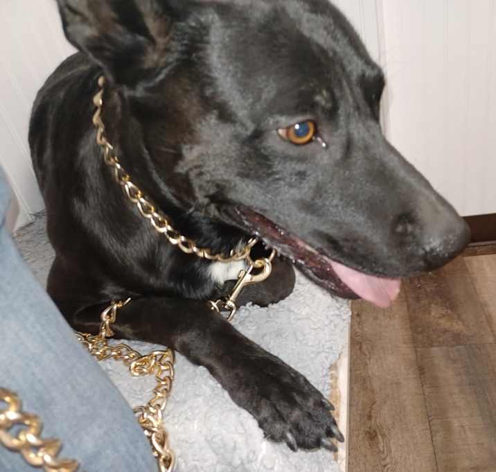 Photo of Zoro