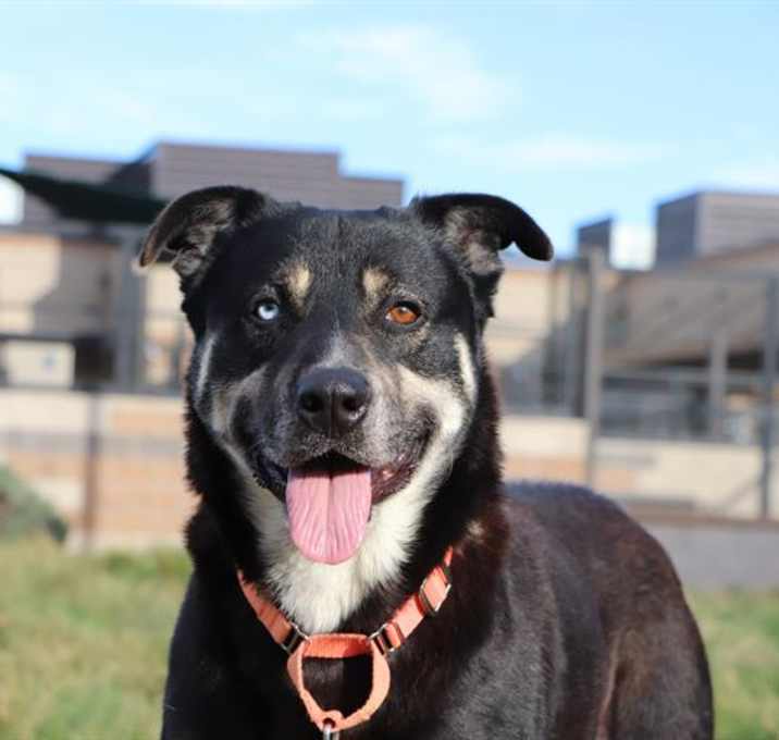 Photo of HUGO